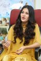 Manasuku Nachindi Actress Amyra Dastur Interview Photos