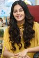 Manasuku Nachindi Actress Amyra Dastur Interview Photos