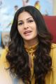 Manasuku Nachindi Actress Amyra Dastur Interview Photos