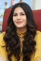 Manasuku Nachindi Heroine Amyra Dastur Interview Photos