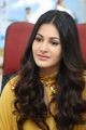 Manasuku Nachindi Heroine Amyra Dastur Interview Photos