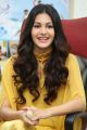 Manasuku Nachindi Heroine Amyra Dastur Interview Photos