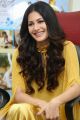 Manasuku Nachindi Actress Amyra Dastur Interview Photos