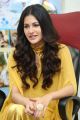 Manasuku Nachindi Heroine Amyra Dastur Interview Photos