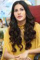 Manasuku Nachindi Heroine Amyra Dastur Interview Photos