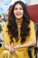 Manasuku Nachindi Heroine Amyra Dastur Interview Photos