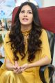 Actress Amyra Dastur Interview about Manasuku Nachindi Photos