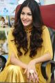 Manasuku Nachindi Heroine Amyra Dastur Interview Photos