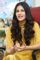 Actress Amyra Dastur Interview about Manasuku Nachindi Photos