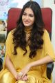 Manasuku Nachindi Actress Amyra Dastur Interview Photos