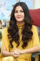 Manasuku Nachindi Heroine Amyra Dastur Interview Photos