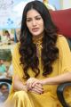 Manasuku Nachindi Heroine Amyra Dastur Interview Photos