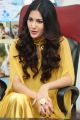 Manasuku Nachindi Heroine Amyra Dastur Interview Photos