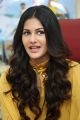 Manasuku Nachindi Actress Amyra Dastur Interview Photos