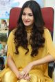 Manasuku Nachindi Actress Amyra Dastur Interview Photos