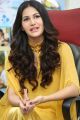 Manasuku Nachindi Heroine Amyra Dastur Interview Photos