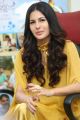 Manasuku Nachindi Heroine Amyra Dastur Interview Photos