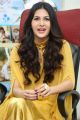 Manasuku Nachindi Heroine Amyra Dastur Interview Photos