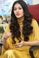 Manasuku Nachindi Actress Amyra Dastur Interview Photos