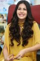 Manasuku Nachindi Actress Amyra Dastur Interview Photos