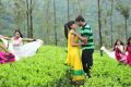 Disha Pandey, Prince in Manasunu Mayaseyake Movie Stills