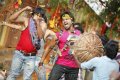 Manchu Manoj Mr.Nokia New Stills