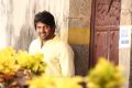 Actor Arya in Mande Suryudu Movie Stills