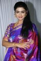 Actress Mani Chandana in Blue Silk Saree Photos