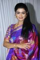 Actress Mani Chandana Photos in Blue Silk Saree