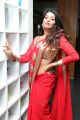 Manisha Pillai Hot Photos in Red Saree