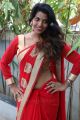 Manisha Pillai Hot Photos in Red Saree