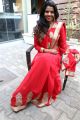 Model Manisha Pillai in Red Saree Photos