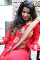 Manisha Pillai Hot Photos in Red Saree