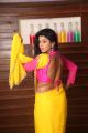 Manisha Pillai in Saree Photos @ Miss Traditional 2015 Curtain Raiser
