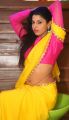 Manisha Pillai Hot Photos @ Miss Traditional 2015 Curtain Raiser