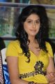 Actress Manisha Yadav Images at Jannal Oram Movie Press Meet