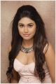 Tamil Actress Manisha Yadav Hot Spicy Photoshoot Stills