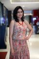Actress Manisha Yadav Photos @ Oru Kuppai Kathai Audio Launch