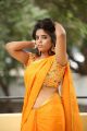 Actress Manjari Hot in Yellow Saree Photos