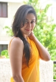 Manjari Phadnis Hot in Saree, Manjari Phadnis Latest Hot Photos