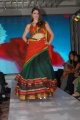 Manjeera Purple Town Launch Fashion Show