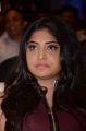 Actress Manjima Mohan Latest Images @ Sahasam Swasaga Sagipo Audio Launch