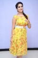 Anchor Manjusha Latest Images @ Kanam Movie Pre Release