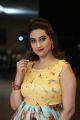 Anchor Manjusha Photos @ RDX Love Pre Release