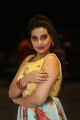 Telugu Anchor Manjusha Photos @ RDX Love Movie Pre Release