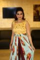 Anchor Manjusha New Photos @ RDX Love Movie Pre Release