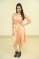 Telugu Anchor Manjusha New Stills