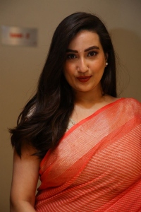 Anchor Manjusha Saree Images @ Yashoda Success Meet