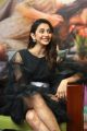 Heroine Rakul Preet Singh @ Manmadhudu 2 Interview Photos