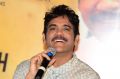 Akkineni Nagarjuna @ Manmadhudu 2 Movie Trailer Launch Stills